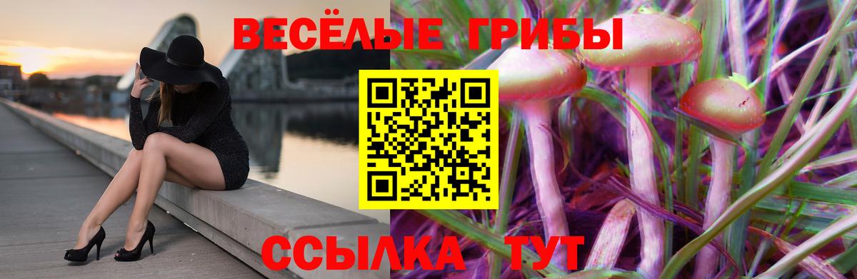 Галлюциногенные грибы прущие грибы Кисловодск